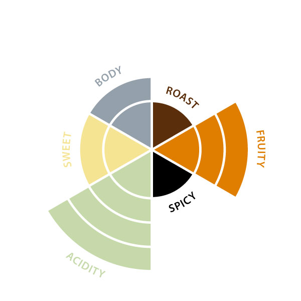 Filter Miko decaffeinated 10pc