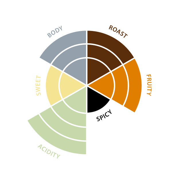 Filter Bruynooghe decaf 10 pc